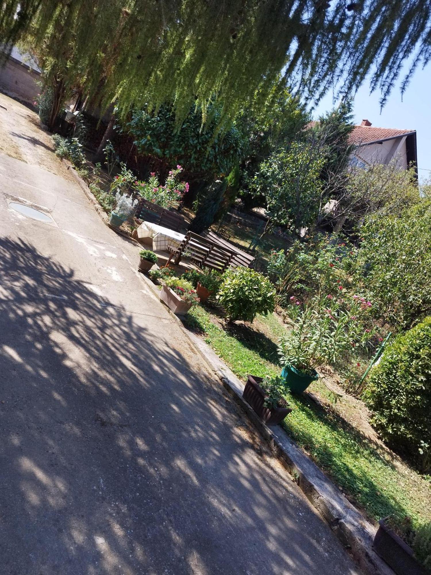Apartment & Rooms Aleksandar Golubac Exterior photo